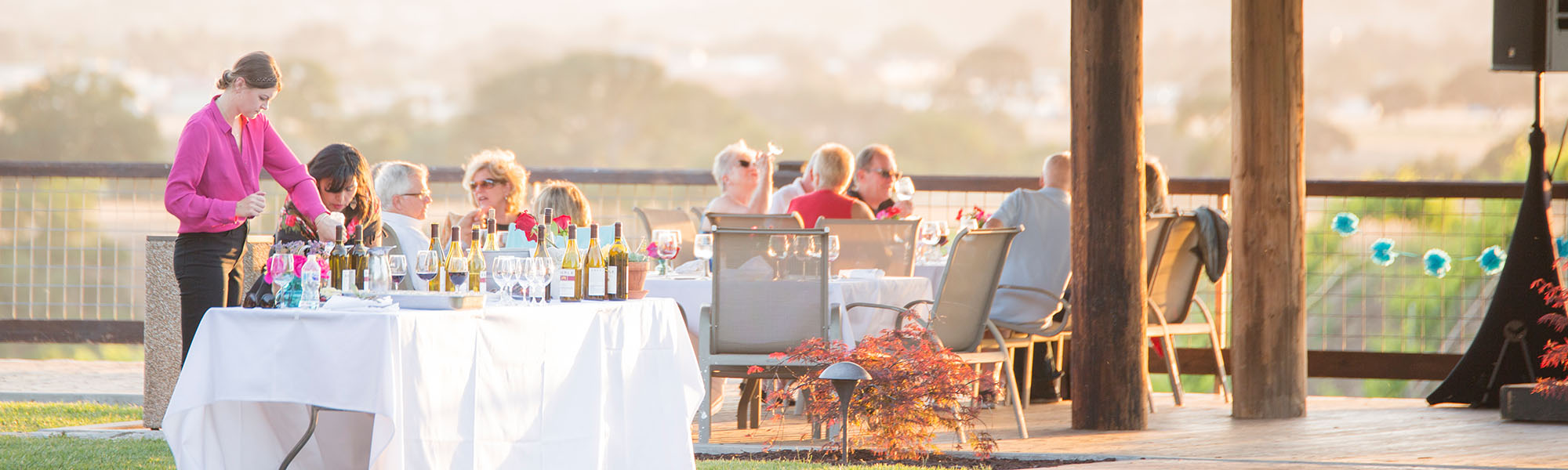 Book Your Clarksburg Tours for the Ultimate Wine Experience