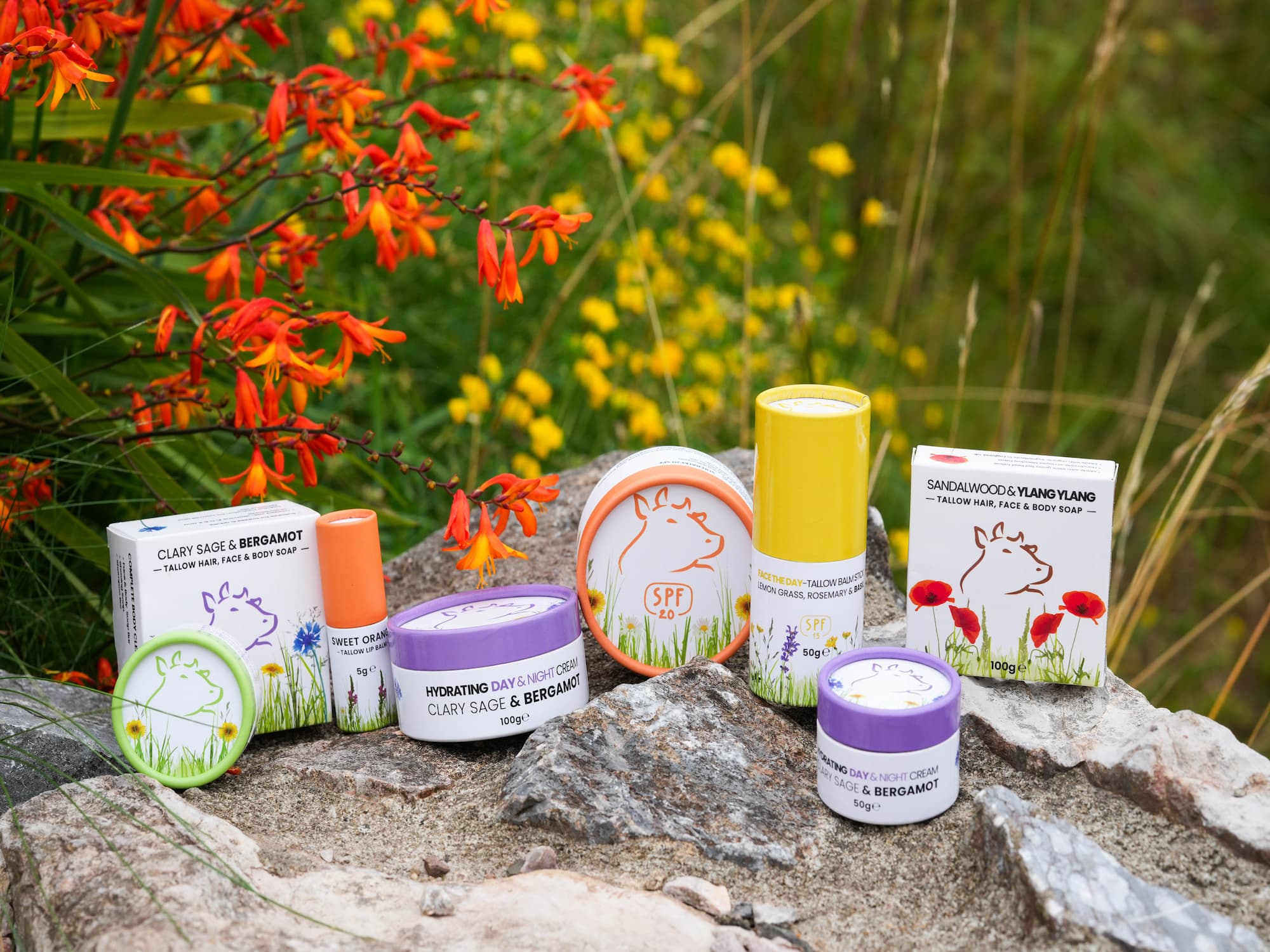 Pourquoi adopter les Tallow skin benefits dans votre routine beauté