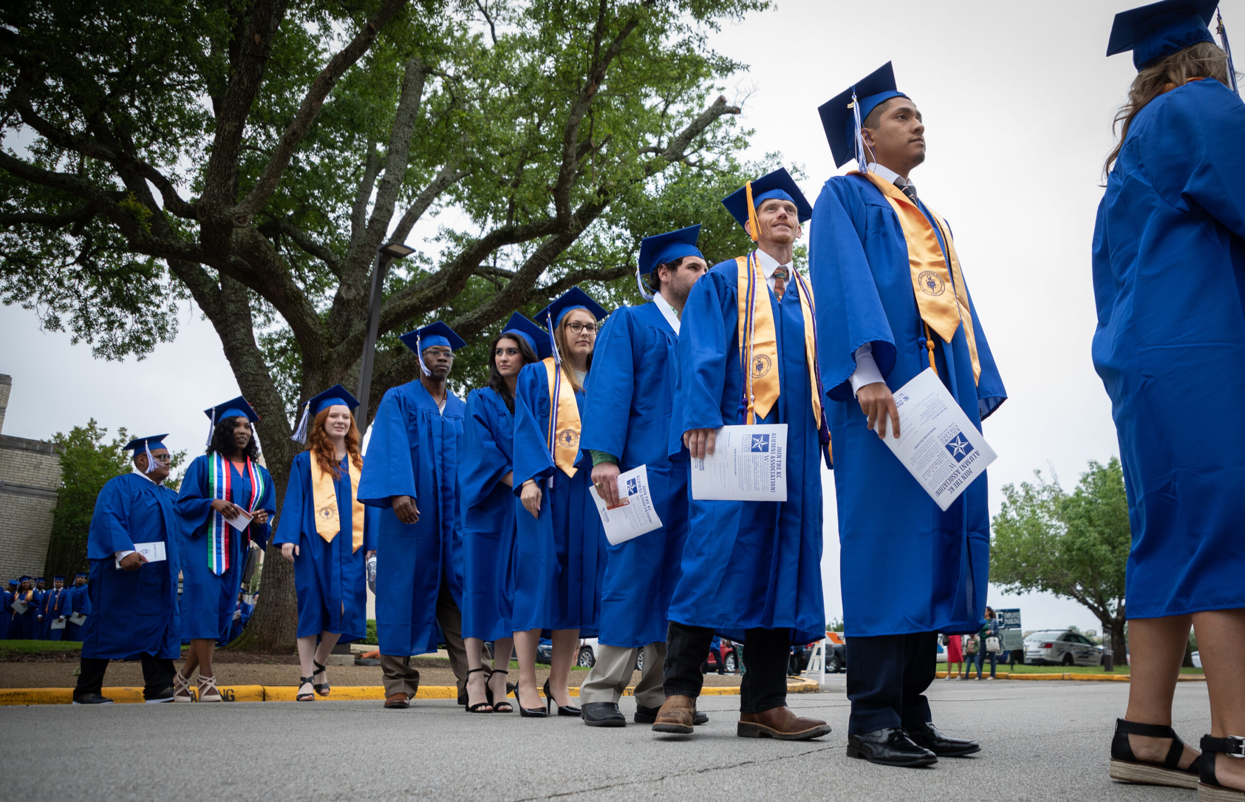 学位代办 Risks for Careers and Immigration—BuyDiploma Insights